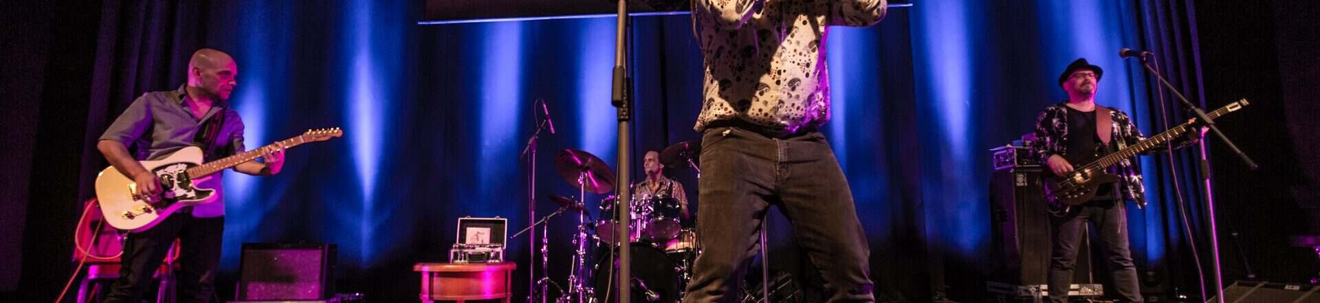 Dov Hammer & The Allstars – a funky BLUES party